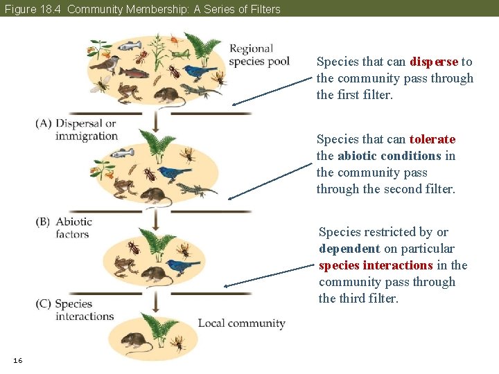 Figure 18. 4 Community Membership: A Series of Filters Species that can disperse to