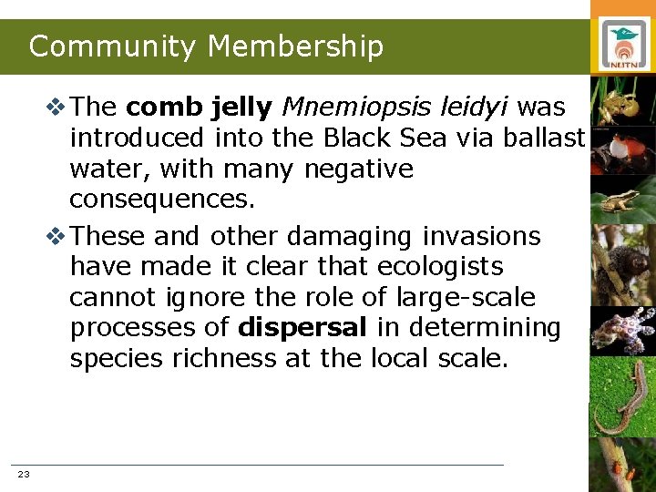 Community Membership v The comb jelly Mnemiopsis leidyi was introduced into the Black Sea