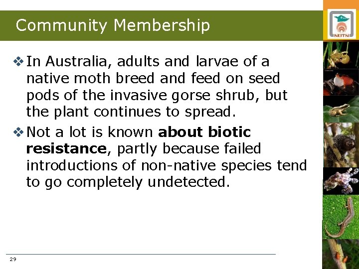 Community Membership v In Australia, adults and larvae of a native moth breed and