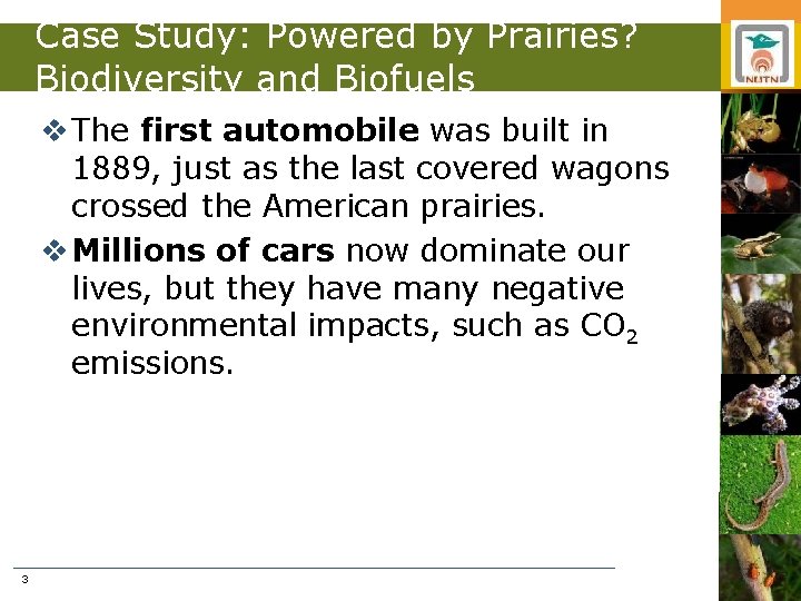 Case Study: Powered by Prairies? Biodiversity and Biofuels v The first automobile was built