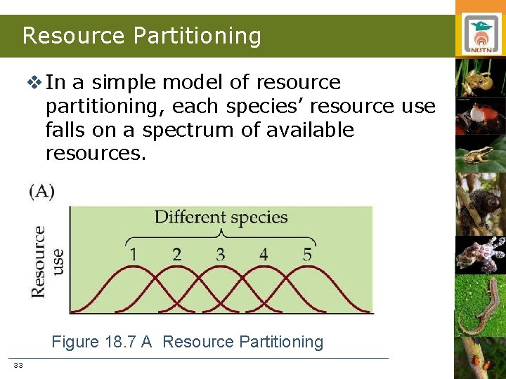 Resource Partitioning v In a simple model of resource partitioning, each species’ resource use