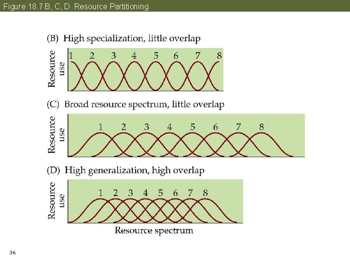 Figure 18. 7 B, C, D Resource Partitioning 36 