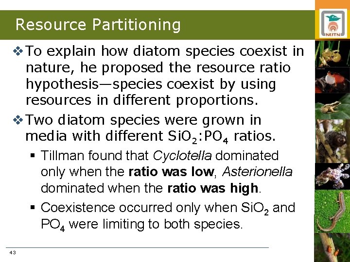 Resource Partitioning v To explain how diatom species coexist in nature, he proposed the