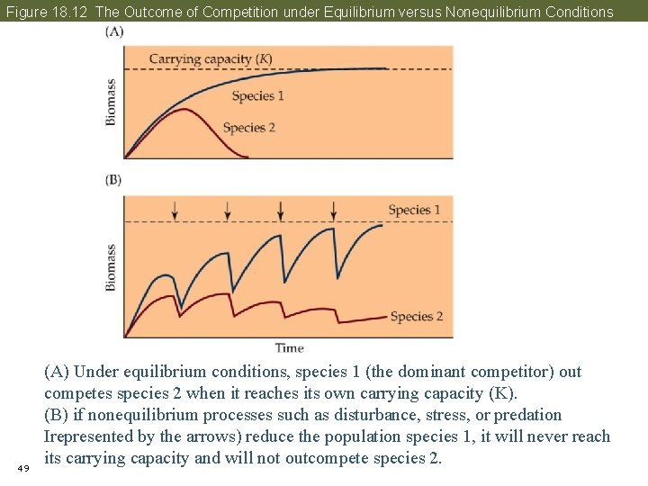 Figure 18. 12 The Outcome of Competition under Equilibrium versus Nonequilibrium Conditions 49 (A)