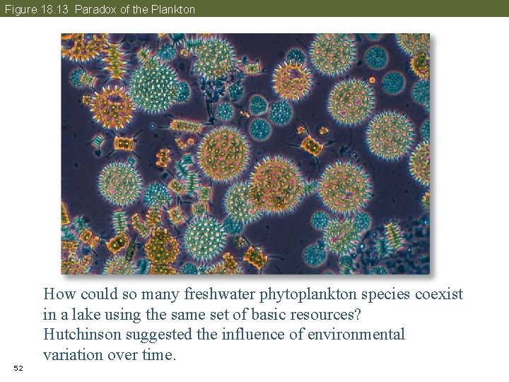 Figure 18. 13 Paradox of the Plankton 52 How could so many freshwater phytoplankton