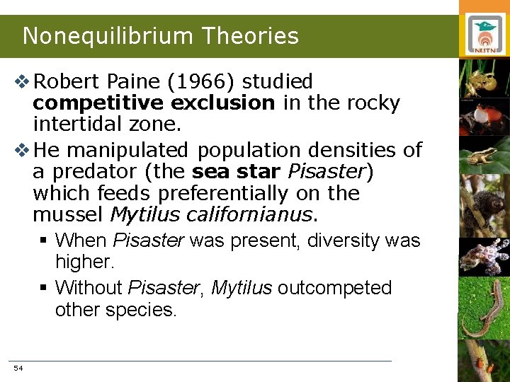 Nonequilibrium Theories v Robert Paine (1966) studied competitive exclusion in the rocky intertidal zone.