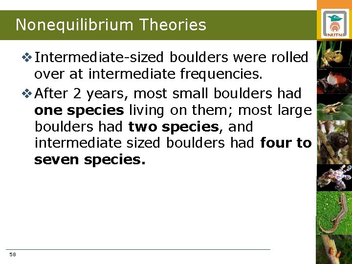 Nonequilibrium Theories v Intermediate-sized boulders were rolled over at intermediate frequencies. v After 2