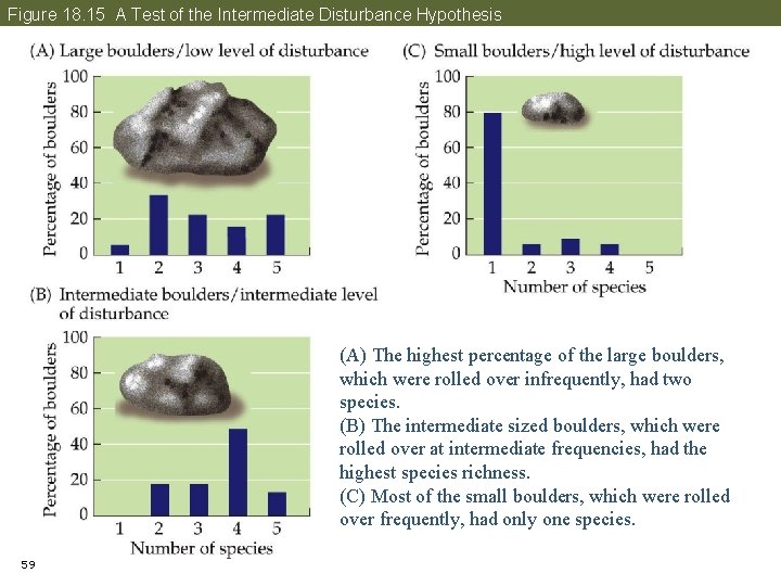 Figure 18. 15 A Test of the Intermediate Disturbance Hypothesis (A) The highest percentage