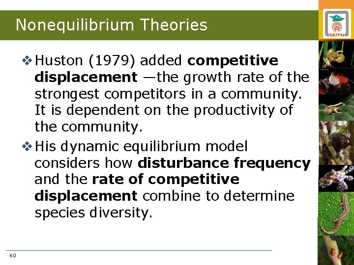 Nonequilibrium Theories v Huston (1979) added competitive displacement —the growth rate of the strongest