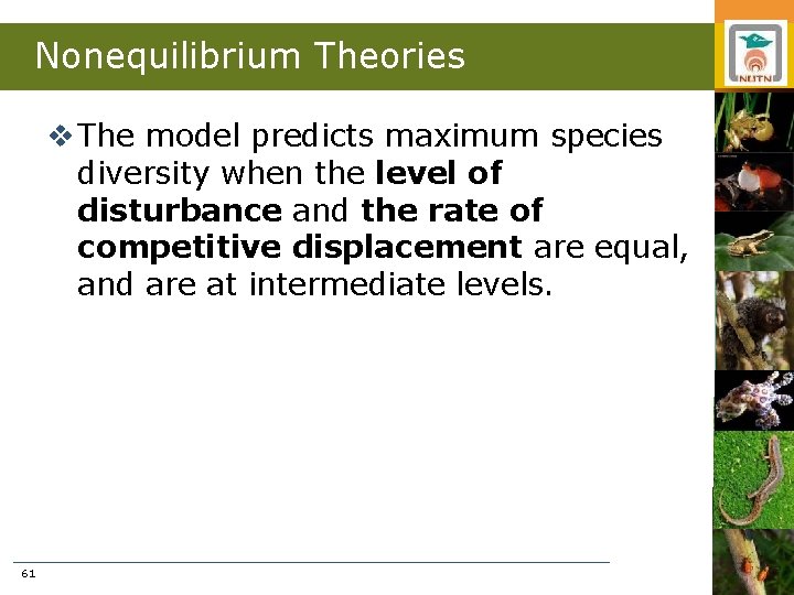 Nonequilibrium Theories v The model predicts maximum species diversity when the level of disturbance