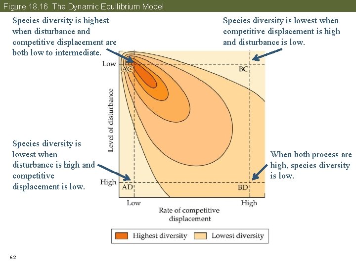 Figure 18. 16 The Dynamic Equilibrium Model Species diversity is highest when disturbance and
