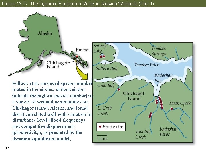 Figure 18. 17 The Dynamic Equilibrium Model in Alaskan Wetlands (Part 1) Pollock et