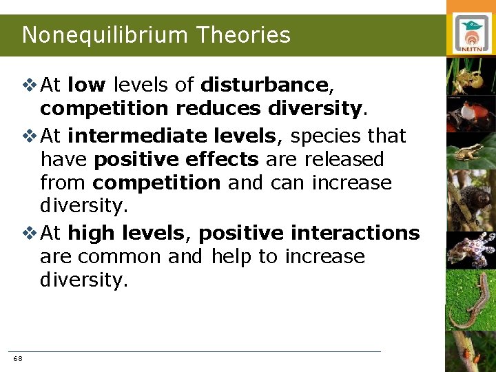 Nonequilibrium Theories v At low levels of disturbance, competition reduces diversity. v At intermediate