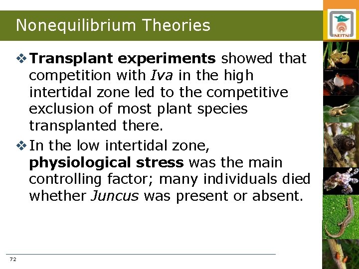 Nonequilibrium Theories v Transplant experiments showed that competition with Iva in the high intertidal