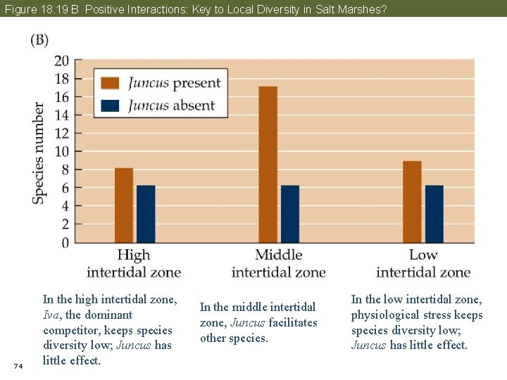 Figure 18. 19 B Positive Interactions: Key to Local Diversity in Salt Marshes? 74