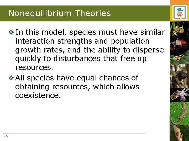 Nonequilibrium Theories v In this model, species must have similar interaction strengths and population