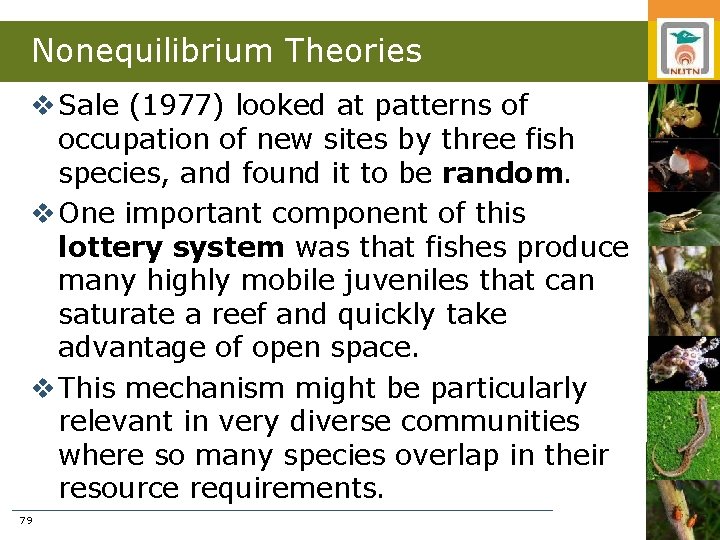 Nonequilibrium Theories v Sale (1977) looked at patterns of occupation of new sites by