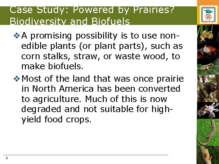 Case Study: Powered by Prairies? Biodiversity and Biofuels v A promising possibility is to