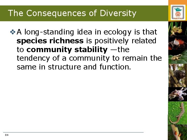 The Consequences of Diversity v A long-standing idea in ecology is that species richness