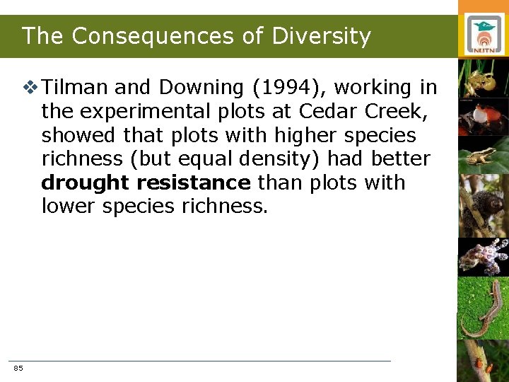 The Consequences of Diversity v Tilman and Downing (1994), working in the experimental plots
