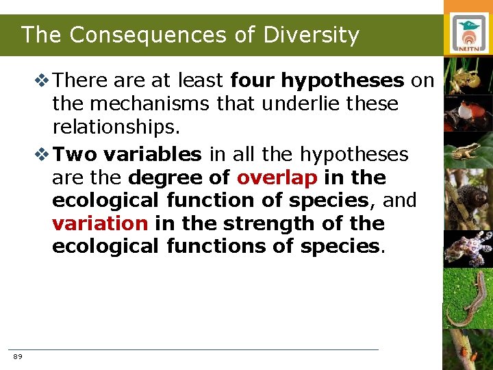 The Consequences of Diversity v There at least four hypotheses on the mechanisms that