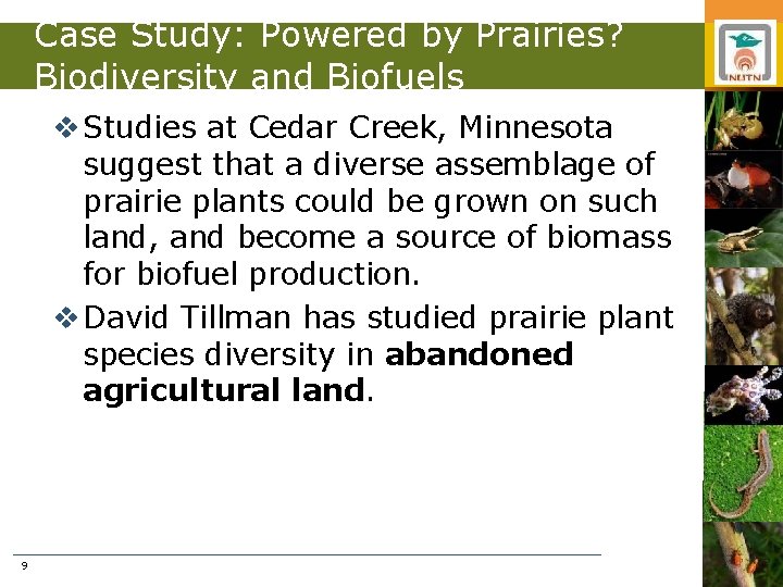 Case Study: Powered by Prairies? Biodiversity and Biofuels v Studies at Cedar Creek, Minnesota