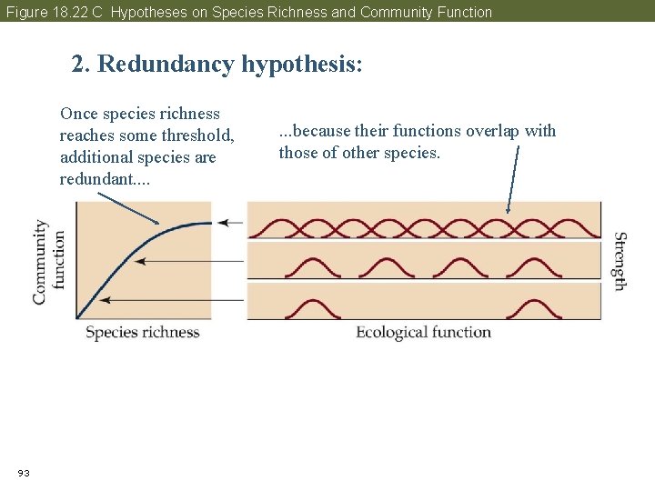 Figure 18. 22 C Hypotheses on Species Richness and Community Function 2. Redundancy hypothesis: