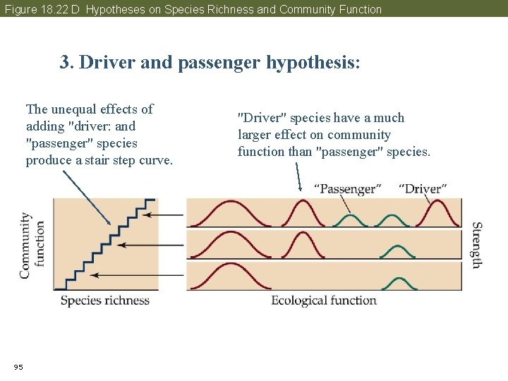 Figure 18. 22 D Hypotheses on Species Richness and Community Function 3. Driver and