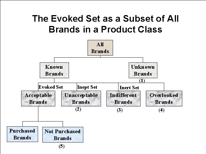 The Evoked Set as a Subset of All Brands in a Product Class All