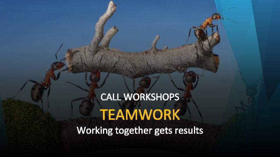 CALL WORKSHOPS TEAMWORK Working together gets results 