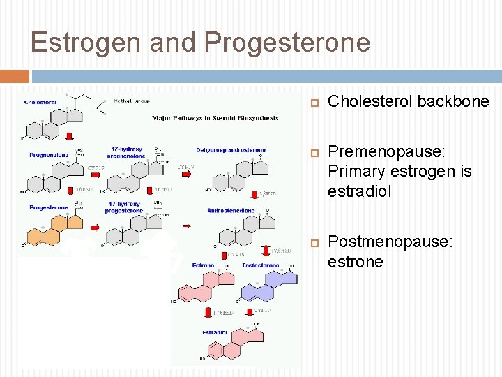 Estrogen and Progesterone Cholesterol backbone Premenopause: Primary estrogen is estradiol Postmenopause: estrone 