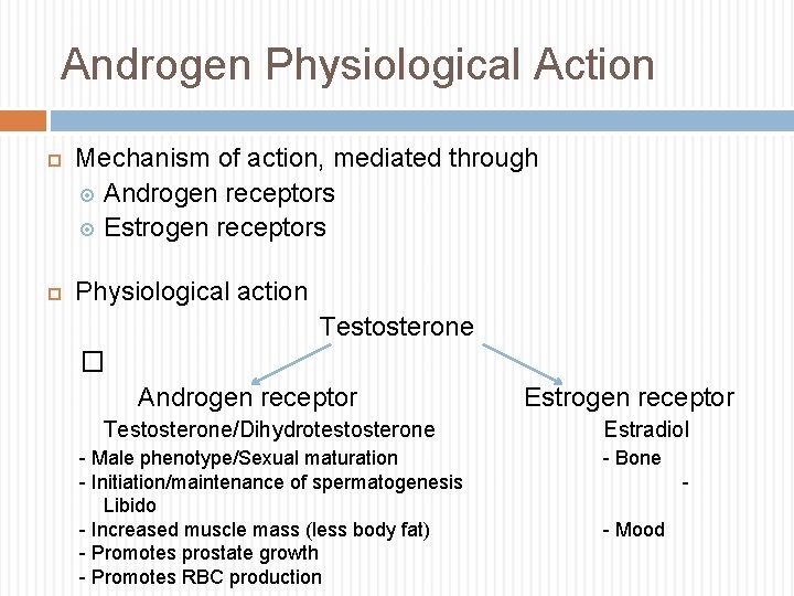 Androgen Physiological Action Mechanism of action, mediated through Androgen receptors Estrogen receptors Physiological action