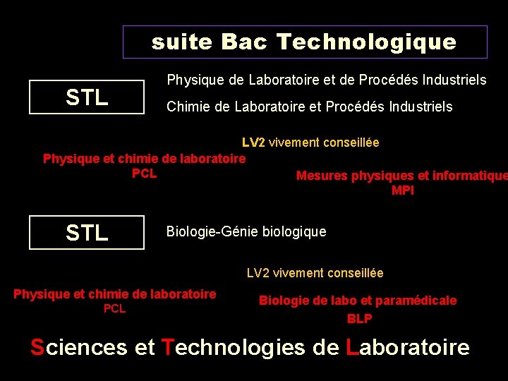 suite Bac Technologique STL Physique de Laboratoire et de Procédés Industriels Chimie de Laboratoire