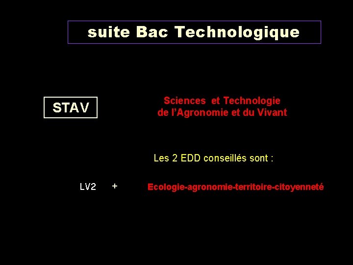 suite Bac Technologique Sciences et Technologie de l’Agronomie et du Vivant STAV Les 2
