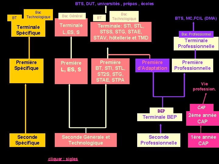 BTS, DUT, universités , prépas , écoles BT Bac Technologique Terminale Spécifique Première Spécifique