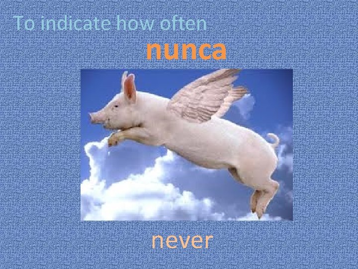 To indicate how often nunca never 