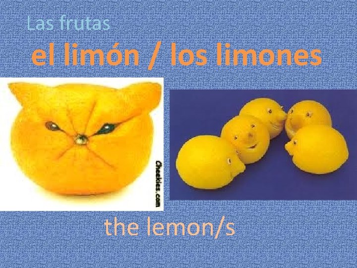 Las frutas el limón / los limones the lemon/s 