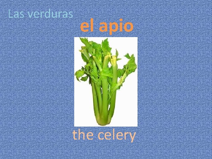 Las verduras el apio the celery 