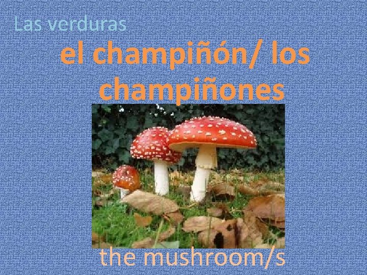 Las verduras el champiñón/ los champiñones the mushroom/s 