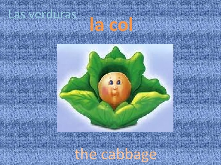 Las verduras la col the cabbage 