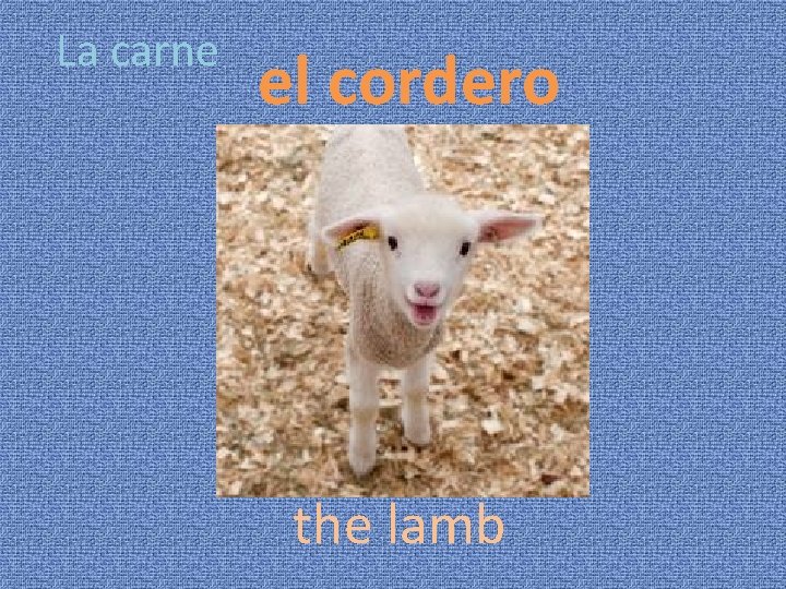 La carne el cordero the lamb 