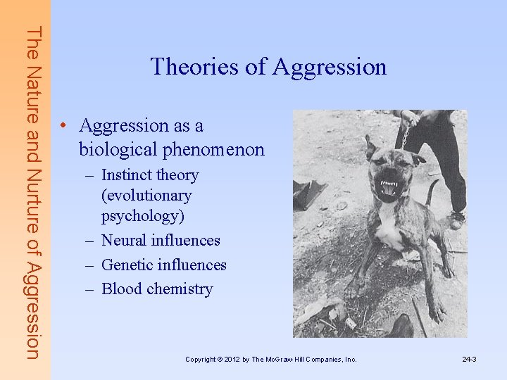 The Nature and Nurture of Aggression Theories of Aggression • Aggression as a biological
