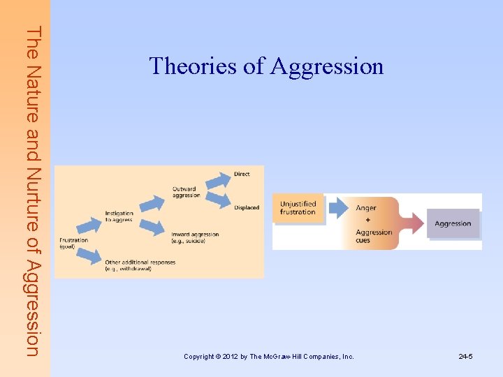 The Nature and Nurture of Aggression Theories of Aggression Copyright © 2012 by The