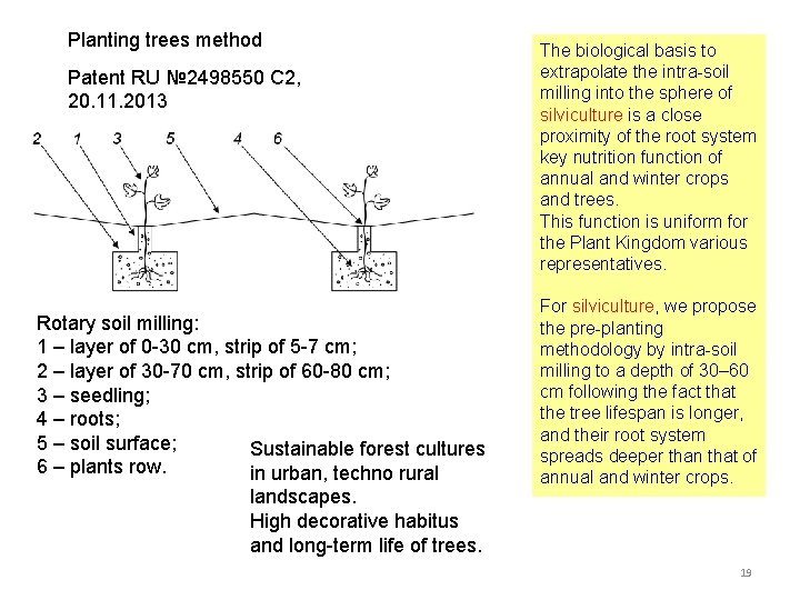 Planting trees method Patent RU № 2498550 С 2, 20. 11. 2013 Rotary soil