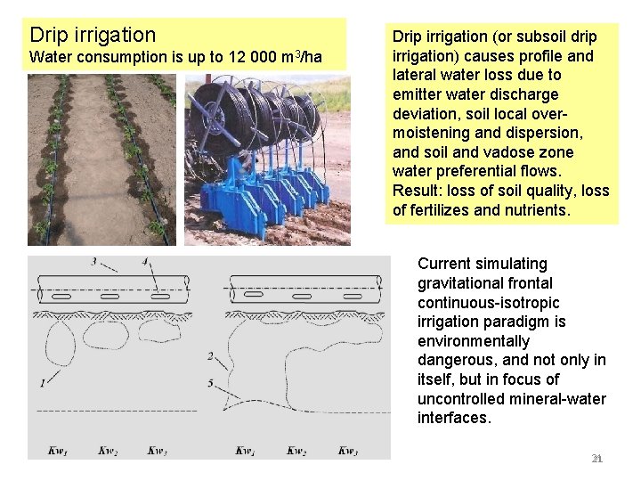 Drip irrigation Water consumption is up to 12 000 m 3/ha Drip irrigation (or