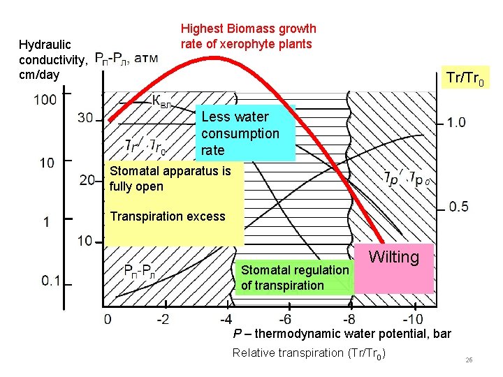 Hydraulic conductivity, cm/day Highest Biomass growth rate of xerophyte plants Тr/Тr 0 Less water