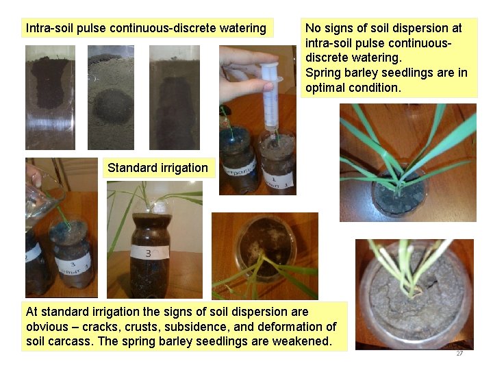 Intra-soil pulse continuous-discrete watering No signs of soil dispersion at intra-soil pulse continuousdiscrete watering.