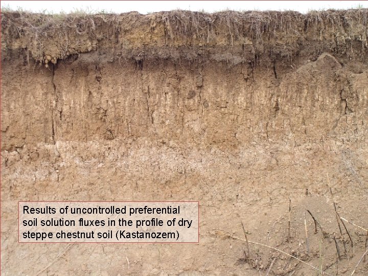 Results of uncontrolled preferential soil solution fluxes in the profile of dry steppe chestnut