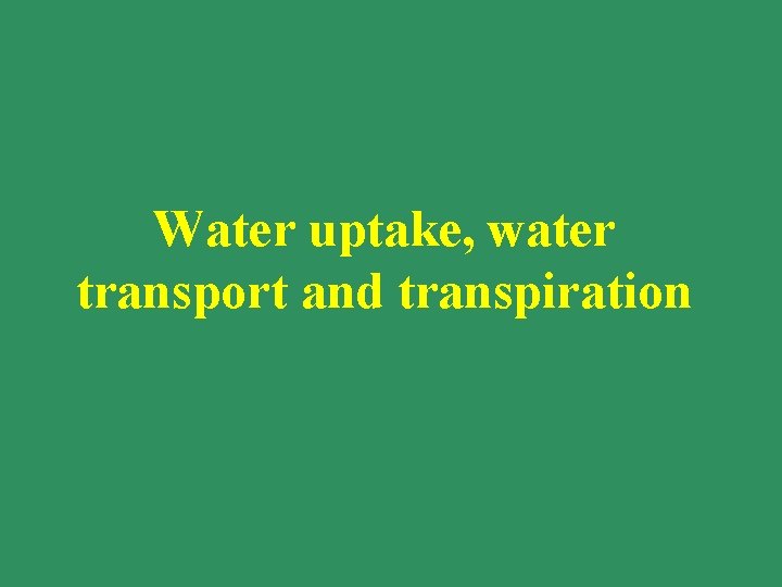 Water uptake, water transport and transpiration 