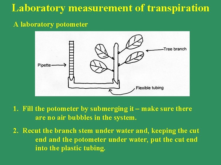 Laboratory measurement of transpiration A laboratory potometer 1. Fill the potometer by submerging it